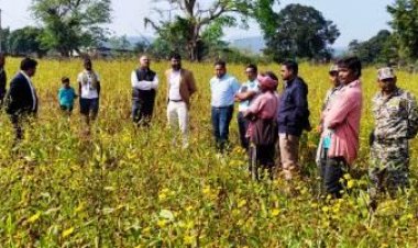 पी. अंबलगन ने प्रधानमंत्री धन-धान्य कृषि योजना के तहत रामतिल फसल का किया निरीक्षण