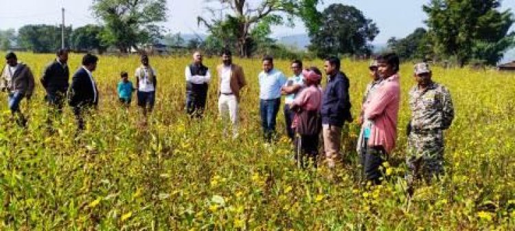 पी. अंबलगन ने प्रधानमंत्री धन-धान्य कृषि योजना के तहत रामतिल फसल का किया निरीक्षण