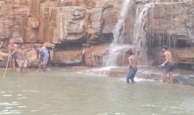 नरहरा जलप्रपात में डूबा रायपुर का युवक, मौत