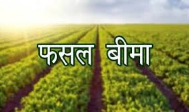 उद्यानिकी फसलों के बीमा हेतु आवेदन 31 दिसम्बर तक