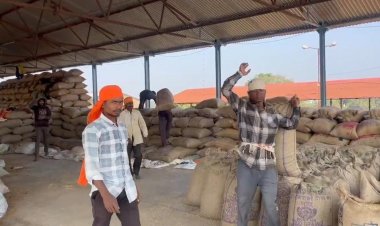 जिले के उपार्जन केंद्रों में 2628 किसानों से खरीदी गई 167246 क्विंटल धान