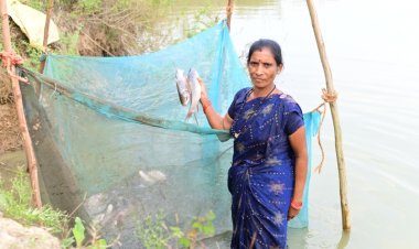 बिहान से बदली तकदीर- मछली पालन से समृद्ध की राह पर फुलबती मरकाम
