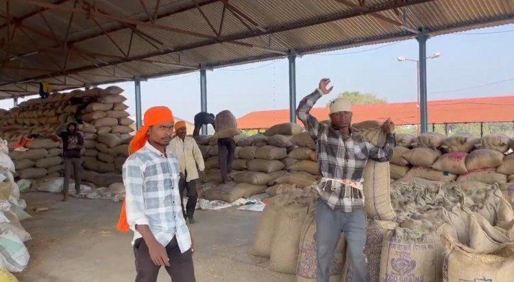 जिले के उपार्जन केंद्रों में 2628 किसानों से खरीदी गई 167246 क्विंटल धान