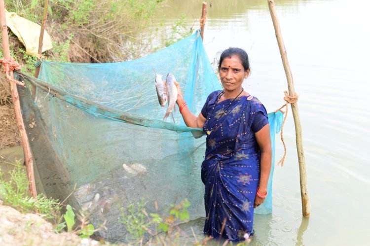बिहान से बदली तकदीर- मछली पालन से समृद्ध की राह पर फुलबती मरकाम