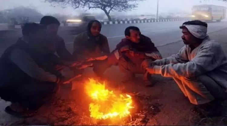 ठंड का डबल अटैक : अगले 48 घंटे में और गिरेगा पारा, शीतलहर के साथ कोहरे का रहेगा पहरा