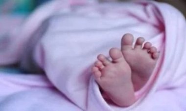 CG – हॉस्पिटल के टॉयलेट में नवजात को जन्म देकर छोड़ा, क्षेत्र में मचा हड़कंप……