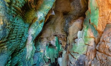 कांगेर घाटी में मिला अनोखा ग्रीन गुफा,जल्द ही पर्यटन में किया जाएगा शामिल