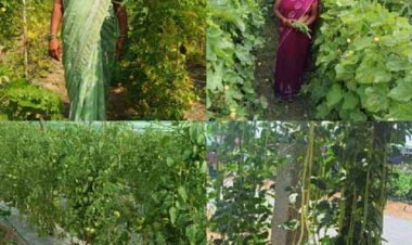 कर्ज के बोझ से मुक्त होकर आत्मनिर्भर बनी सुष्मिता प्रतिमाह कमा रही 50 हजार