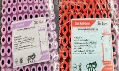 दवा घोटाला: कारोबारी चाेपड़ा को आज कोर्ट में पेश करेगी ED