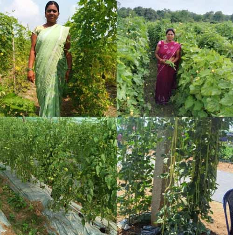 कर्ज के बोझ से मुक्त होकर आत्मनिर्भर बनी सुष्मिता प्रतिमाह कमा रही 50 हजार