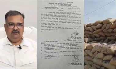 CG - चूहा खा गए 7 करोड़ का धान, अब घोटाले में प्रशासन का बड़ा एक्शन, DMO निलंबित