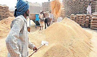 छत्तीसगढ़ में धान खरीदी का अंतिम दिन आज, 10 जनवरी के बाद टोकन कटाने वाले किसान होंगे पात्र