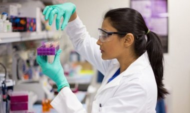 CG : प्रयोगशाला तकनीशियन भर्ती- 2023, 26 अभ्यर्थियों की अंतिम चयन सूची जारी