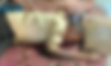 दिल दहला देने वाली वारदात, धारदार हंसिए से वारकर बेटी ने की पिता की हत्या, इस बात से थी नाराज