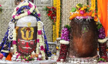 महाशिवरात्रि 2026: उज्जैन महाकालेश्वर मंदिर में VIP दर्शन कैसे करें? टिकट कीमत व बुकिंग प्रोसेस