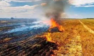 चुपके से अपने खेतों में पराली जलाने के मामले में धमतरी के 50 किसानों पर प्रकरण दर्ज