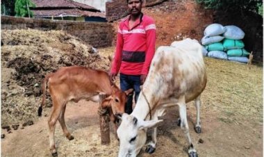राज्य पोषित डेयरी उद्यमिता विकास योजना से सुखसागर आर्थिक रूप से हुआ मजबूत
