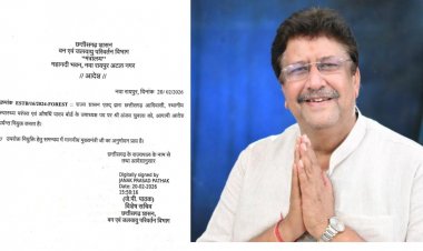 ब्रेकिंग : अंजय शुक्ला बनाए गए औषधि पादप बोर्ड के उपाध्यक्ष, राज्य सरकार ने जारी किया आदेश…