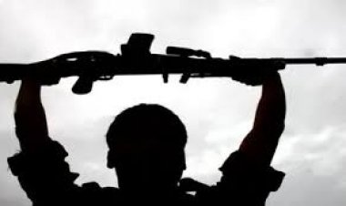 2023-24 से 9 फरवरी 2026 तक 1496 ईनामी नक्सलियों ने किया आत्मसमर्पण