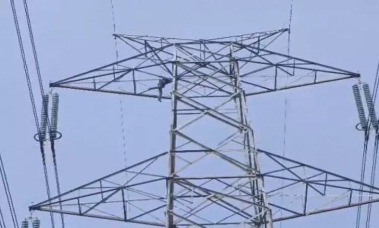 राजिम कुंभ कल्प शुरू: माघ पूर्णिमा पर त्रिवेणी संगम में श्रद्धालुओं की आस्था की डूबकी, लाखों भक्तों के पहुंचने की संभावना