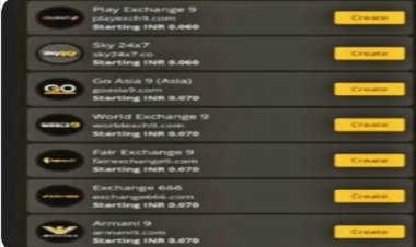 ऑनलाइन में बदल रहा सट्टा: ढाई हजार में मिल रहा सट्टा पैनल, डायमंड 7777 बुक के तार दुर्ग से जुड़े