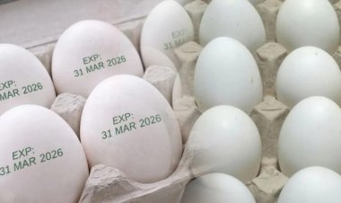 अब बिना एक्सपायरी डेट के नहीं बिकेंगे अंडे, इस राज्य में लागू हुआ नया नियम