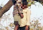 जंगल में दो युवकों का शव एक ही पेड़ पर लटके मिला, गांव में मची खलबली