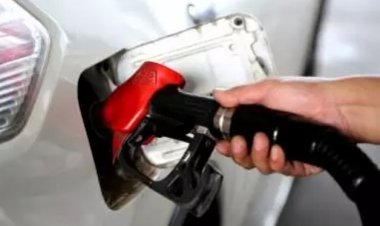 भारत का डीजल निर्यात सात साल के उच्चतम स्तर पर, ऑस्ट्रेलिया के ल‍िए मददगार