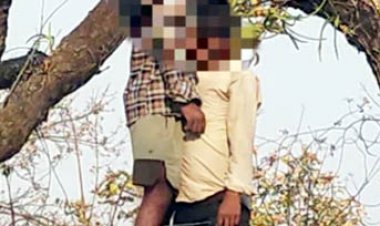 जंगल में दो युवकों का शव एक ही पेड़ पर लटके मिला, गांव में मची खलबली
