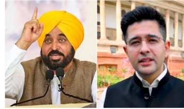 CM भगवंत मान का राघव चड्ढा पर हमला, बोले– ‘समोसे-पिज्जा के मुद्दे उठाते हैं…