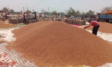 चना की क्वालिटी पास करने किसानों से रुपये लेने का आरोप