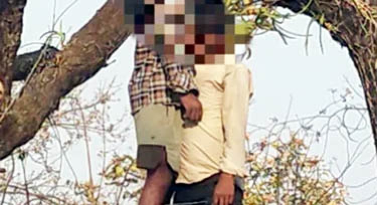जंगल में दो युवकों का शव एक ही पेड़ पर लटके मिला, गांव में मची खलबली