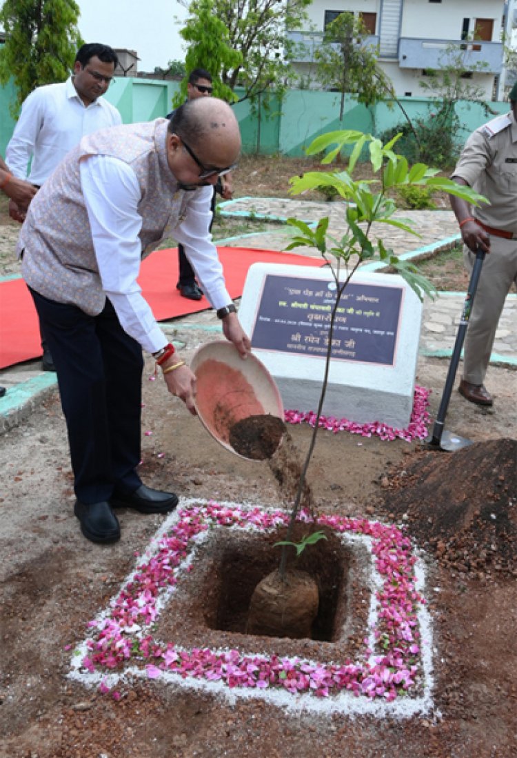 राज्यपाल डेका ने जशपुर के मातृत्व वन में किया सीता अशोक के पौधे का रोपण