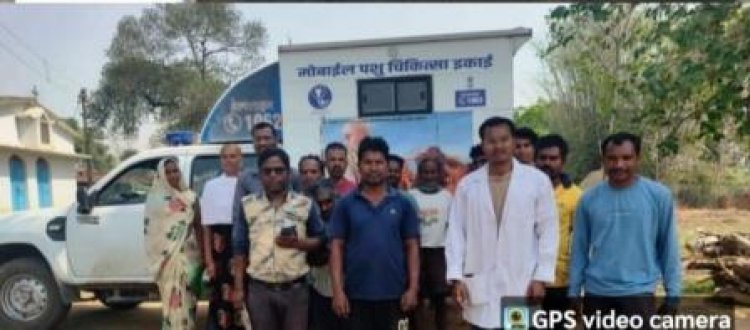 ग्राम रजौटी, कलिबा व कुरकुंगा में पशुओं की जांच, बैक्टीरियल रोग की रिपोर्ट नेगेटिव