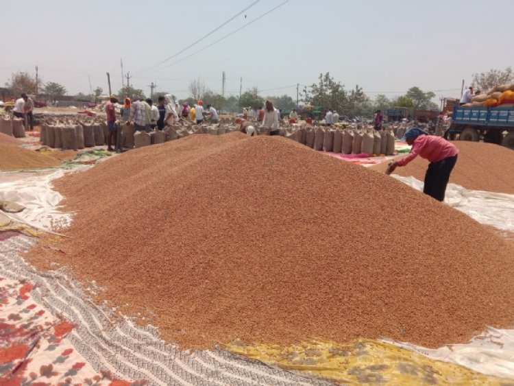 चना की क्वालिटी पास करने किसानों से रुपये लेने का आरोप