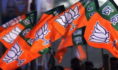 छत्तीसगढ़ BJP कोर कमेटी में बड़ा बदलाव, नए चेहरों की एंट्री