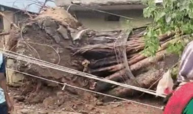 छत्तीसगढ़ में 4 दिन बदलेगा मौसम, तेज आंधी और बिजली गिरने का अलर्ट