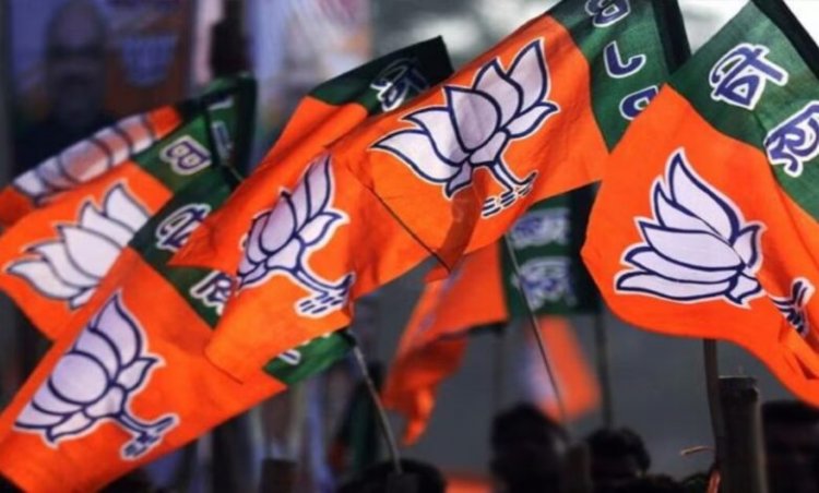 छत्तीसगढ़ BJP कोर कमेटी में बड़ा बदलाव, नए चेहरों की एंट्री