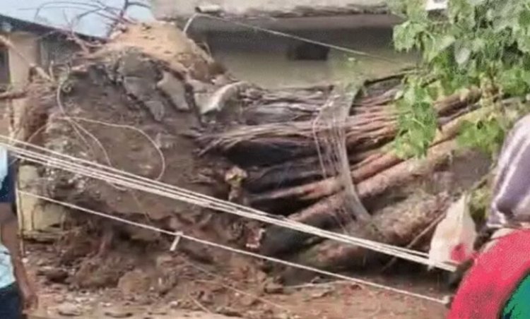 छत्तीसगढ़ में 4 दिन बदलेगा मौसम, तेज आंधी और बिजली गिरने का अलर्ट