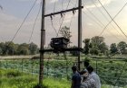 मुख्यमंत्री कैंप कार्यालय की पहल से ग्राम बोड़ालाता में पुनः बहाल हुई बिजली आपूर्ति