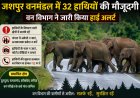 जशपुर वनमंडल में 32 हाथियों की मौजूदगी,वन विभाग ने जारी किया हाई अलर्ट : ग्रामीणों से सतर्क रहने और जंगलों में अनावश्यक प्रवेश नहीं करने की अपील, प्रभावित क्षेत्रों में लगातार निगरानी