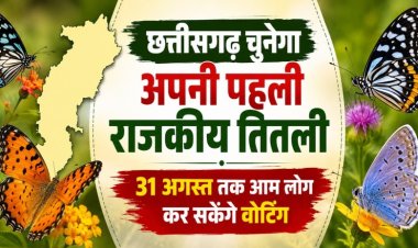 CG State Butterfly: छत्तीसगढ़ चुनेगा अपनी पहली राजकीय तितली, 31 अगस्त तक आम लोग कर सकेंगे वोटिंग