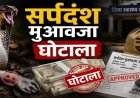 सर्पदंश मुआवजा घोटाले की जांच EOW को सौंपने की तैयारी, DGP ने दिए बड़े संकेत