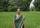 बिहान से आत्मनिर्भर बनीं शकुंतला राजवाड़े, कम लागत की खेती से बढ़ा आय का आधार….
