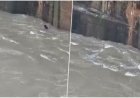 शर्त के चक्कर में डैम में लगाई छलांग, 48 घंटे बाद भी युवक का पता नहीं; NDRF जुटी तलाश में
