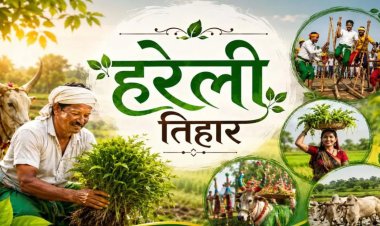 छत्तीसगढ़ में हरेली की धूम : CM साय से लेकर पूर्व सीएम बघेल तक मनाएंगे पर्व, बस्तर में निकलेगी तिरंगा यात्रा