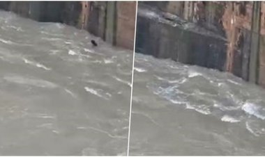 शर्त के चक्कर में डैम में लगाई छलांग, 48 घंटे बाद भी युवक का पता नहीं; NDRF जुटी तलाश में