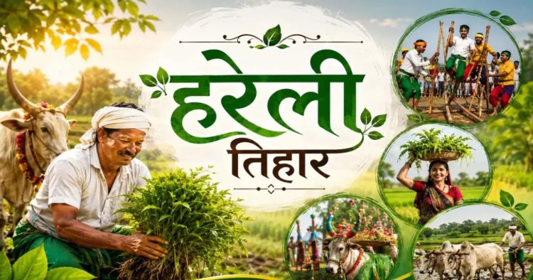 छत्तीसगढ़ में हरेली की धूम : CM साय से लेकर पूर्व सीएम बघेल तक मनाएंगे पर्व, बस्तर में निकलेगी तिरंगा यात्रा