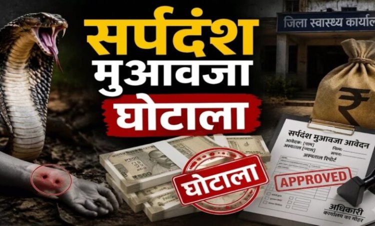 सर्पदंश मुआवजा घोटाले की जांच EOW को सौंपने की तैयारी, DGP ने दिए बड़े संकेत