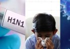 रायपुर में स्वाइन फ्लू का बढ़ा खतरा, 24 घंटे में 12 नए मरीज मिले; प्रदेश में आंकड़ा 205 पहुंचा
